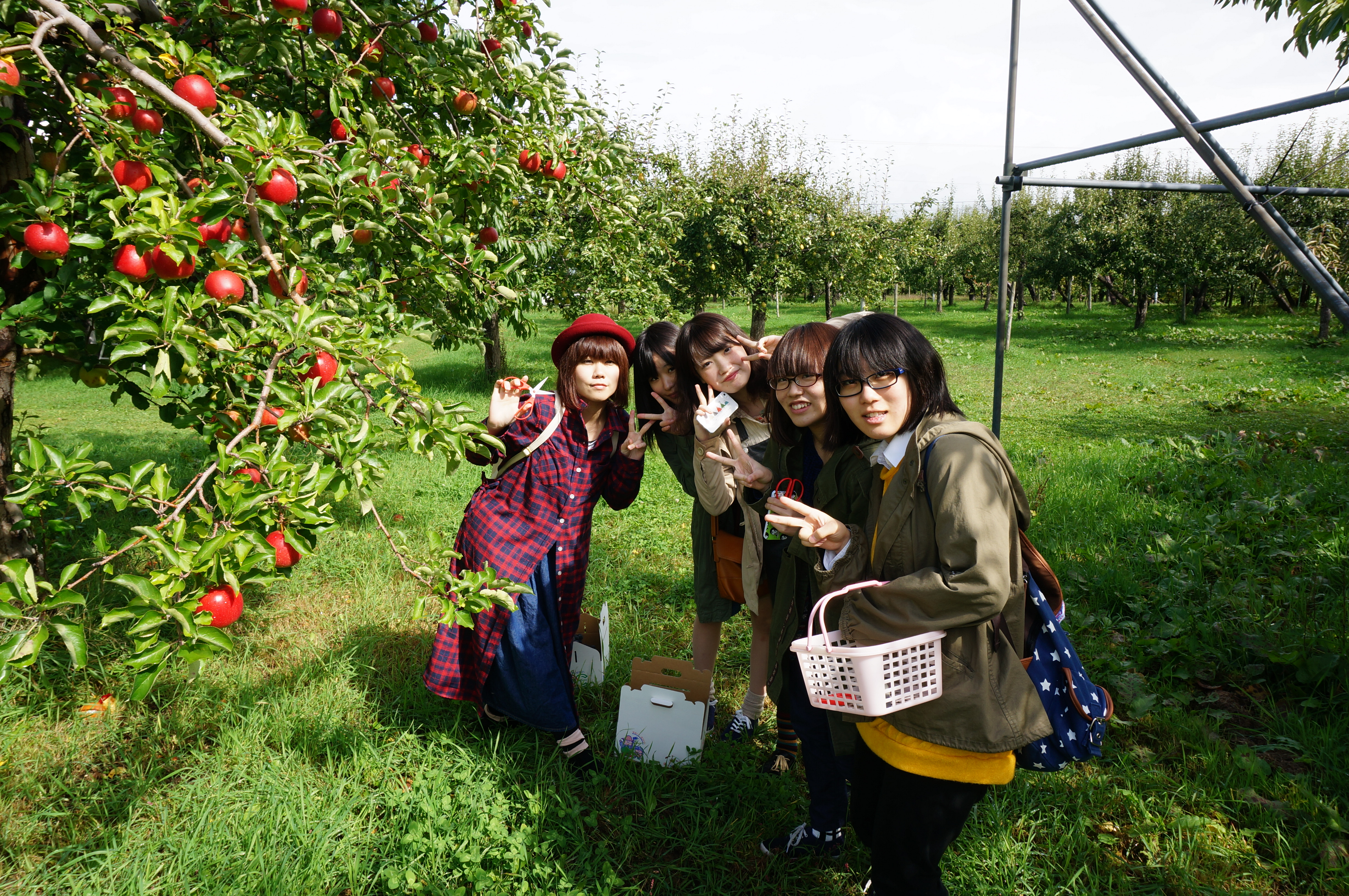 http://www.hokkaido-nadeshiko.jp/news/DSC02189.JPG