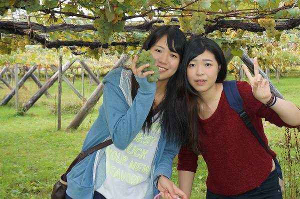 http://www.hokkaido-nadeshiko.jp/news/DSC02198.JPG