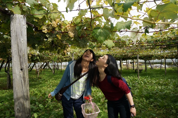 http://www.hokkaido-nadeshiko.jp/news/DSC02210.JPG