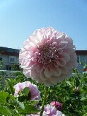 DSCF6397.JPG