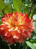 DSCF6404.JPG
