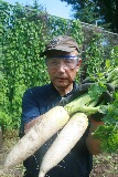 IMG_2595.JPG
